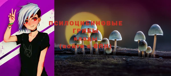 ешки Арсеньев