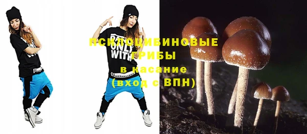 ешки Арсеньев