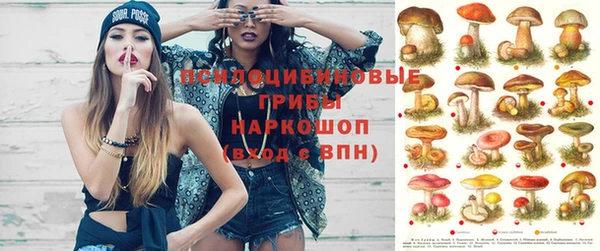 бутик Аркадак