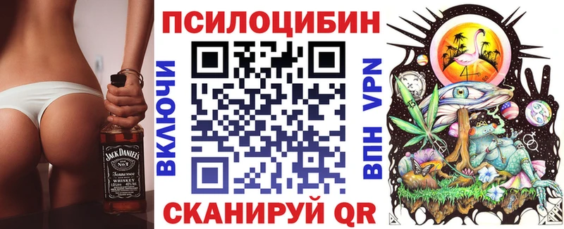 Купить где  Тотьма  Галлюциногенные грибы Magic Shrooms 
